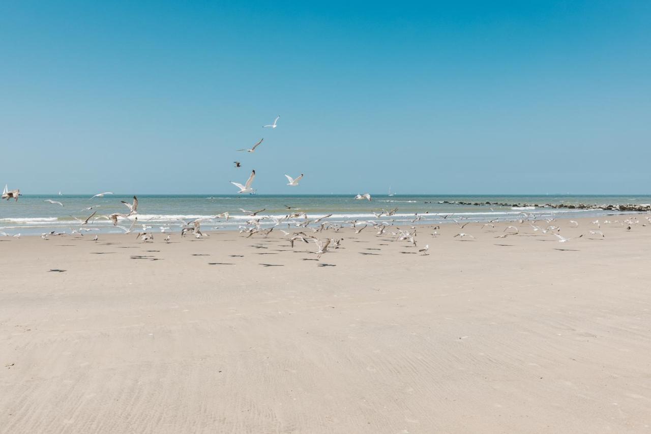 Molo Roof - Stylish Penthouse With Marina View Blankenberge Within Walking Distance From The Sea - 15 Km From Bruges Apartment Екстериор снимка